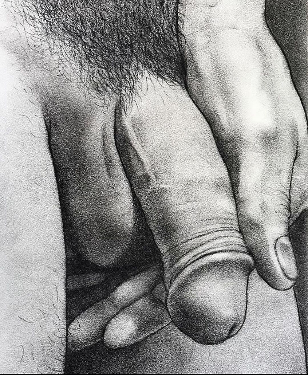 penis
